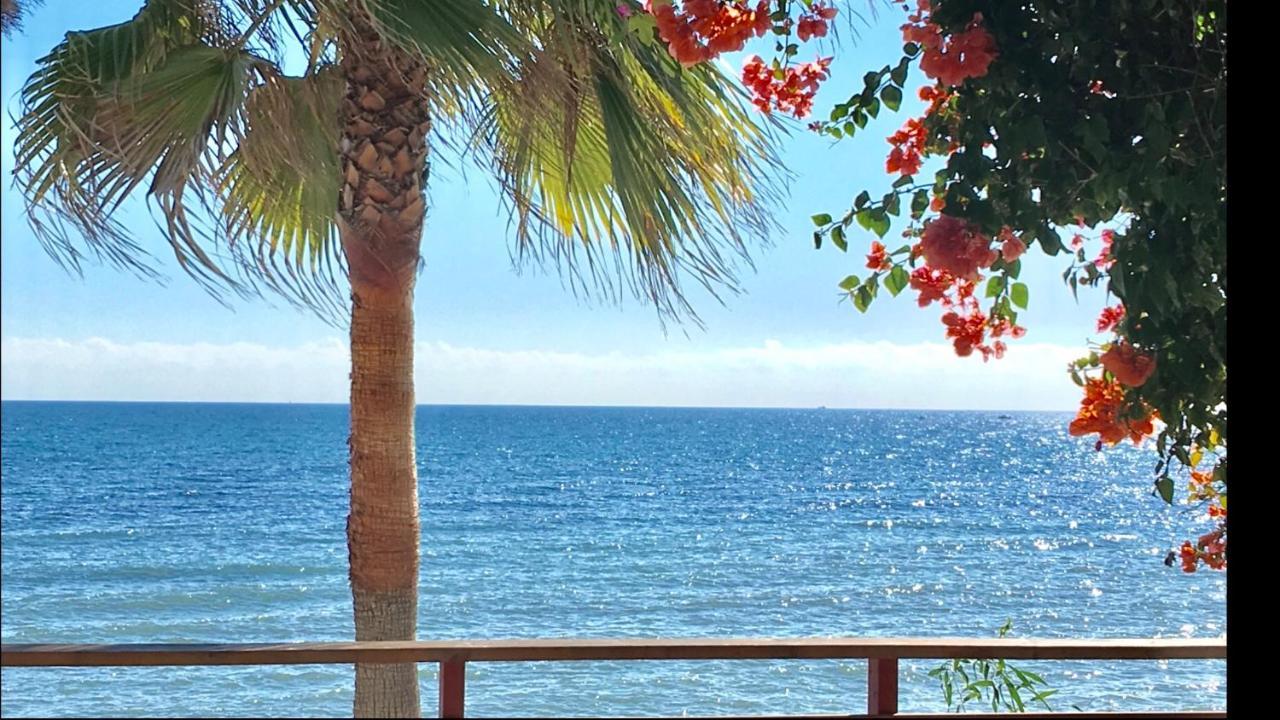 Mi Capricho 4C Beachfront -Apartment With Sea View - Costa Del Sol Sitio de Calahonda Eksteriør bilde